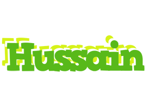 Hussain picnic logo