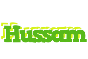 Hussam picnic logo