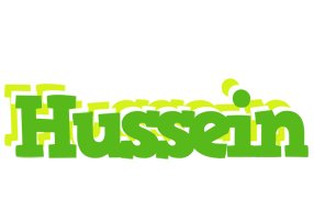 Hussein picnic logo