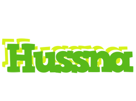 Hussna picnic logo