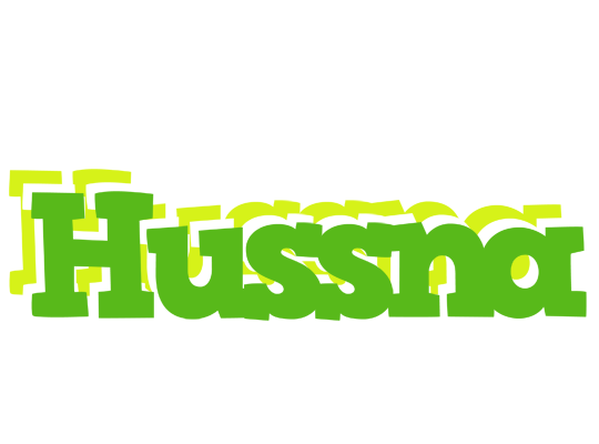 Hussna picnic logo