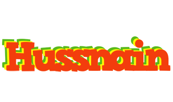 Hussnain bbq logo