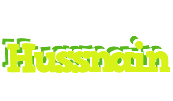 Hussnain citrus logo