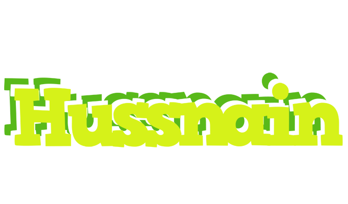 Hussnain citrus logo