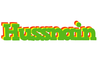 Hussnain crocodile logo