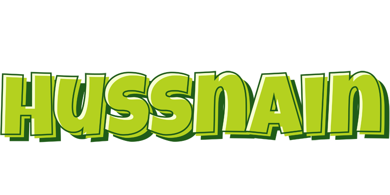 Hussnain summer logo