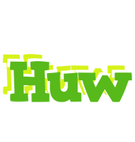 Huw picnic logo