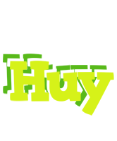 Huy citrus logo