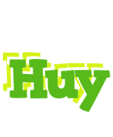 Huy picnic logo