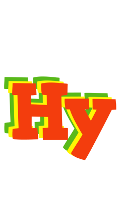 Hy bbq logo