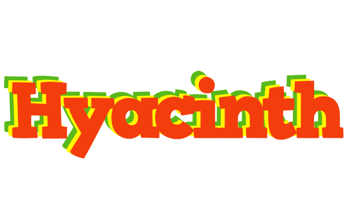 Hyacinth bbq logo
