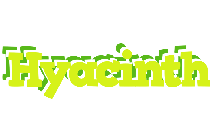 Hyacinth citrus logo