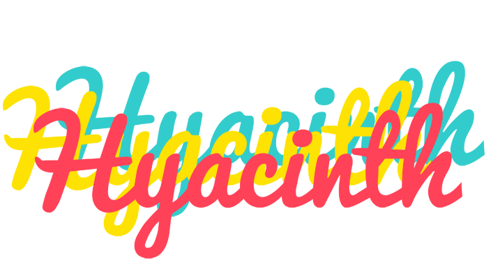 Hyacinth disco logo