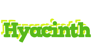 Hyacinth picnic logo