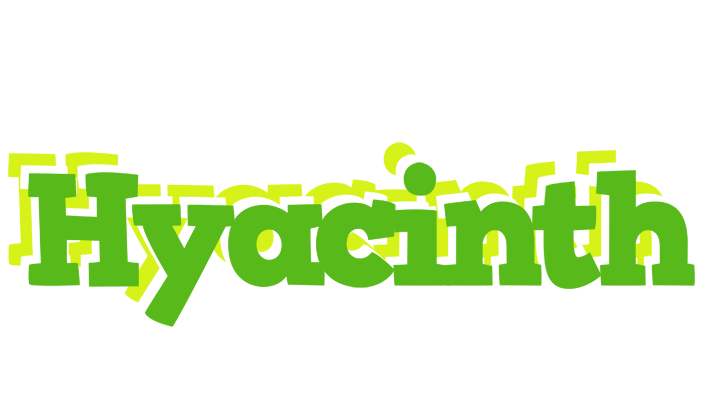 Hyacinth picnic logo