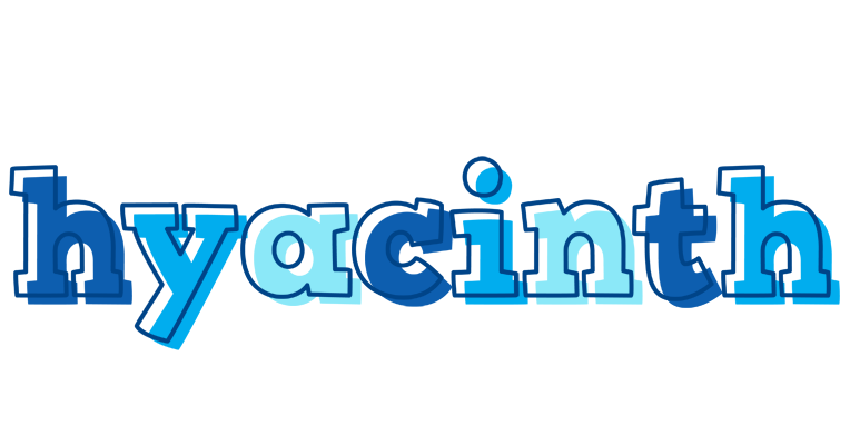 Hyacinth sailor logo