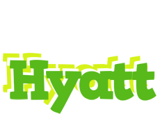 Hyatt picnic logo