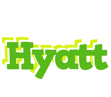 Hyatt picnic logo
