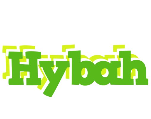 Hybah picnic logo