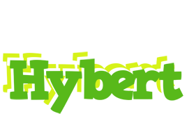 Hybert picnic logo