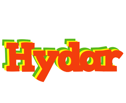Hydar bbq logo
