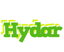 Hydar picnic logo