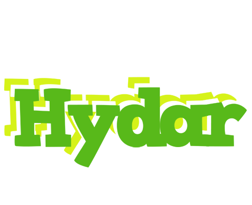 Hydar picnic logo