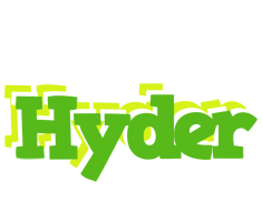 Hyder picnic logo