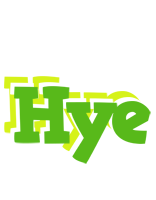 Hye picnic logo