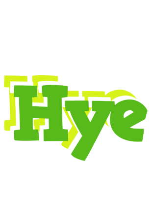 Hye picnic logo