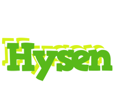 Hysen picnic logo