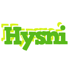 Hysni picnic logo