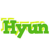 Hyun picnic logo