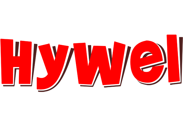 Hywel basket logo