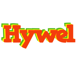 Hywel bbq logo