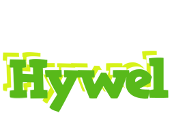 Hywel picnic logo