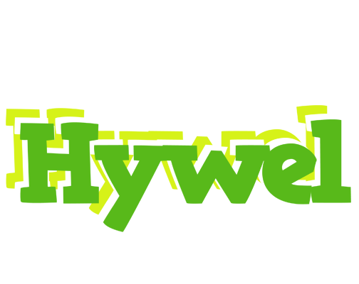 Hywel picnic logo