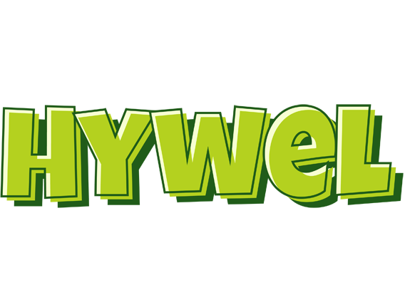 Hywel summer logo