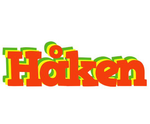 Håken bbq logo
