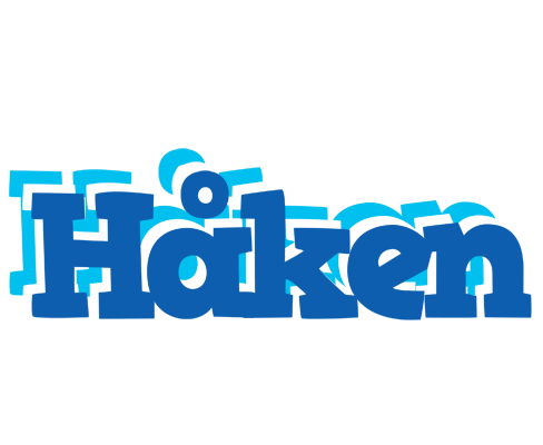 Håken business logo
