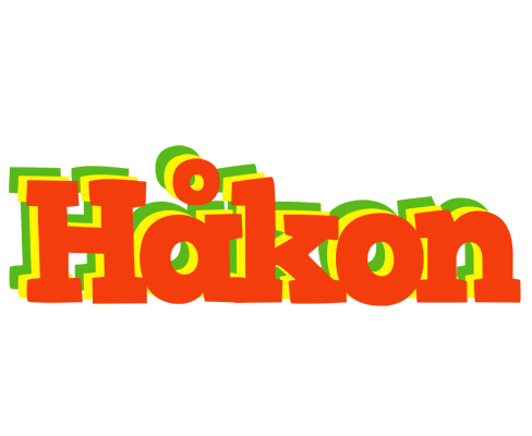 Håkon bbq logo