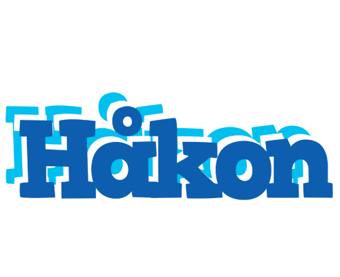 Håkon business logo
