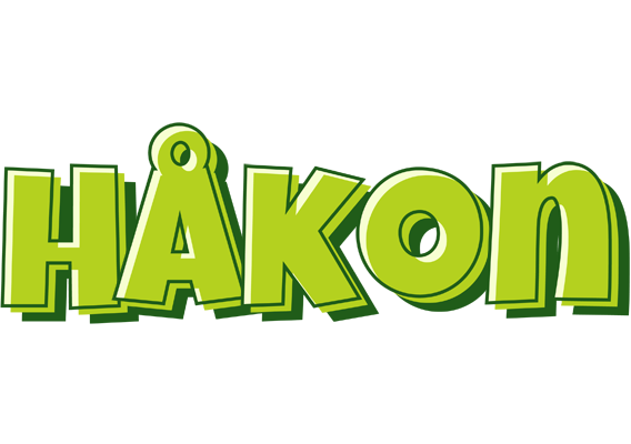 Håkon summer logo