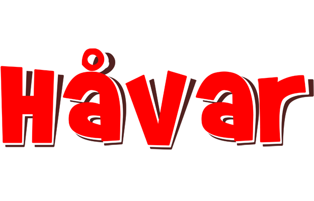 Håvar basket logo