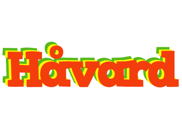 Håvard bbq logo