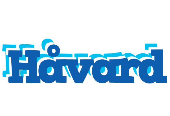 Håvard business logo