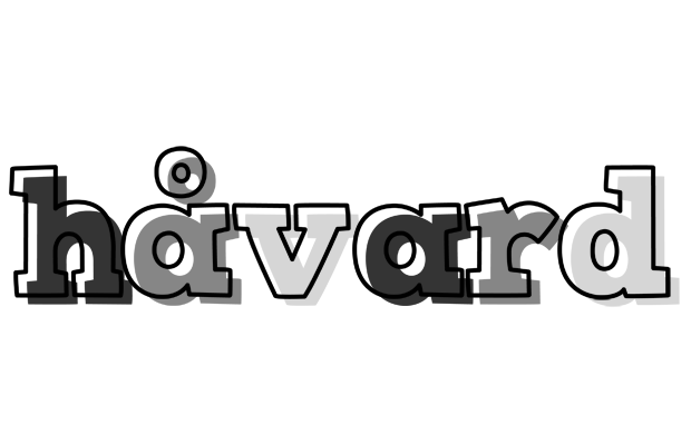 Håvard night logo