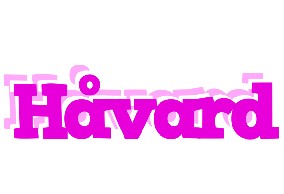 Håvard rumba logo