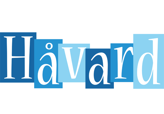 Håvard winter logo