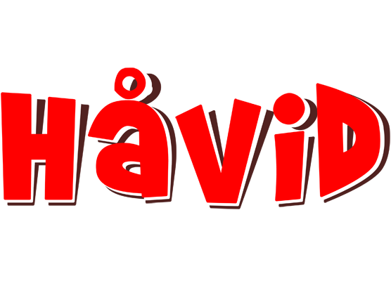 Håvid basket logo